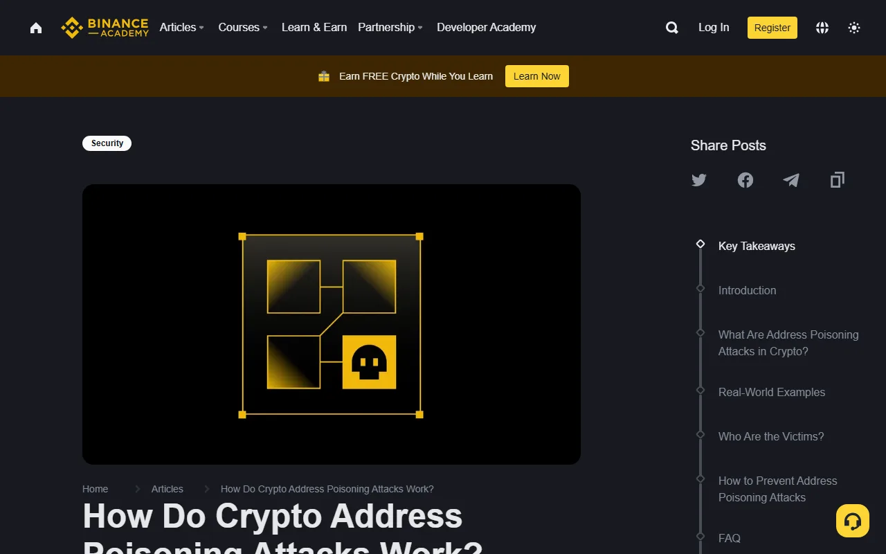 Captura de Binance Academy con el encabezado del artículo «How Do Crypto Address Poisoning Attacks Work?» y el índice de medidas preventivas a la derecha