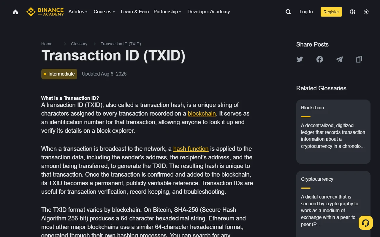 Binance Academy-də Transaction ID (TXID) izahının real ekran görüntüsü